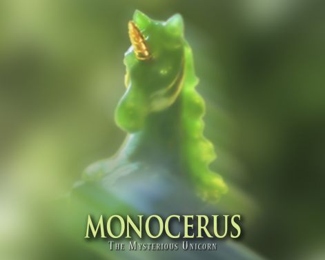 monocerus_1280x1024.jpg
